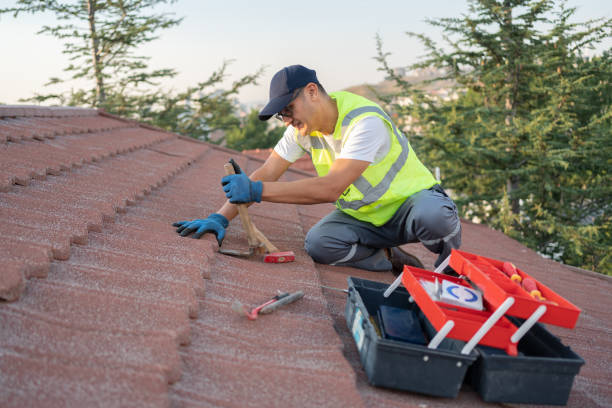 Best Roof Moss and Algae Removal  in Scappoose, OR